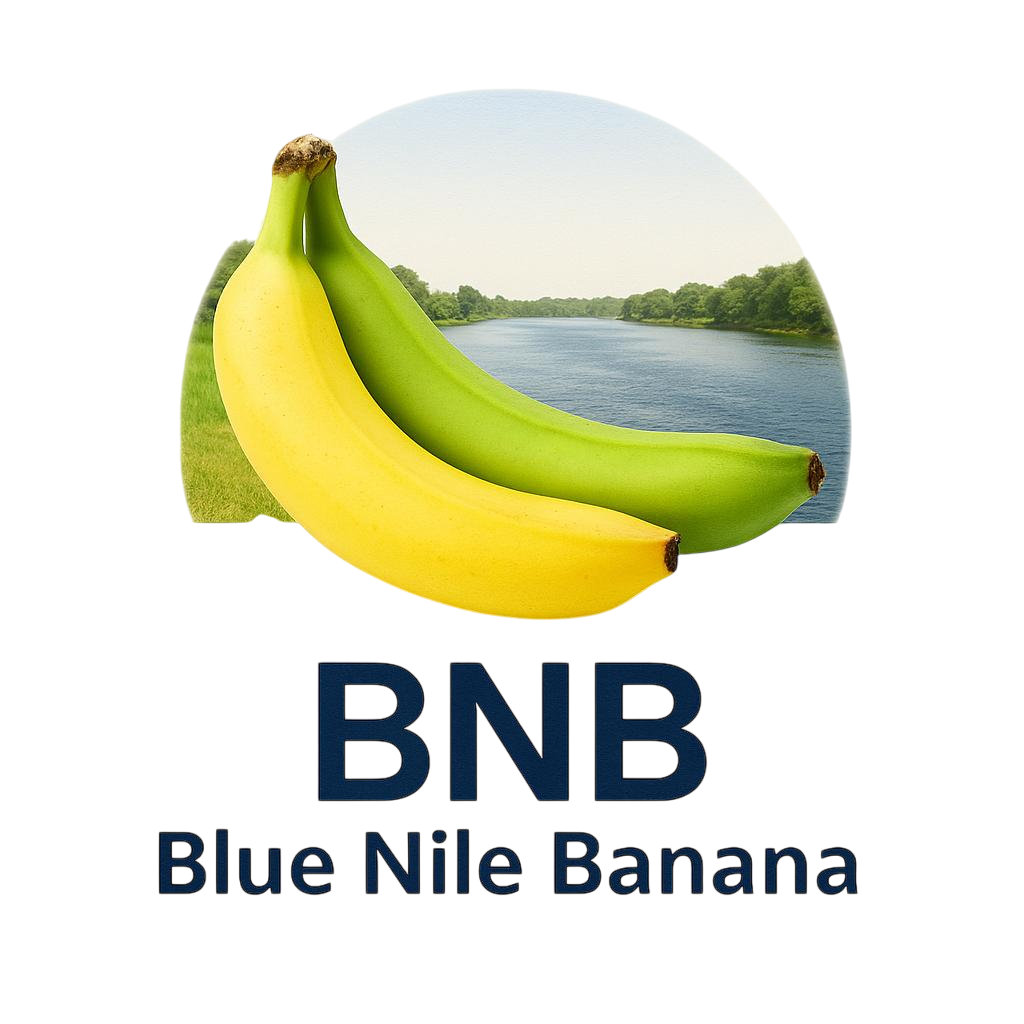 Blue Nile Banana