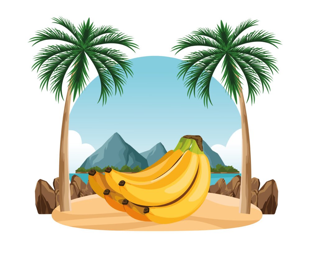 Blue Nile Banana community projects